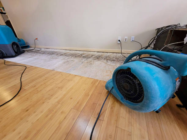 Professional Ceiling Water Damage Repair technician working in Chamberlain, ME