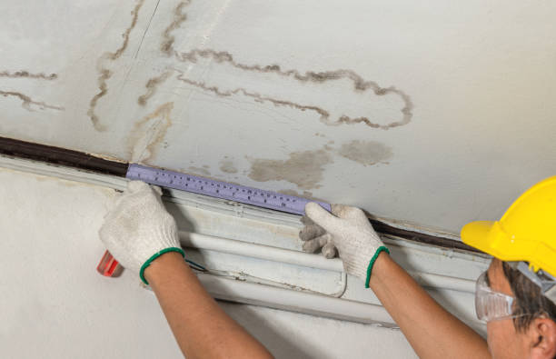 Affordable Ceiling Water Damage Repair solutions in Chamberlain, ME
